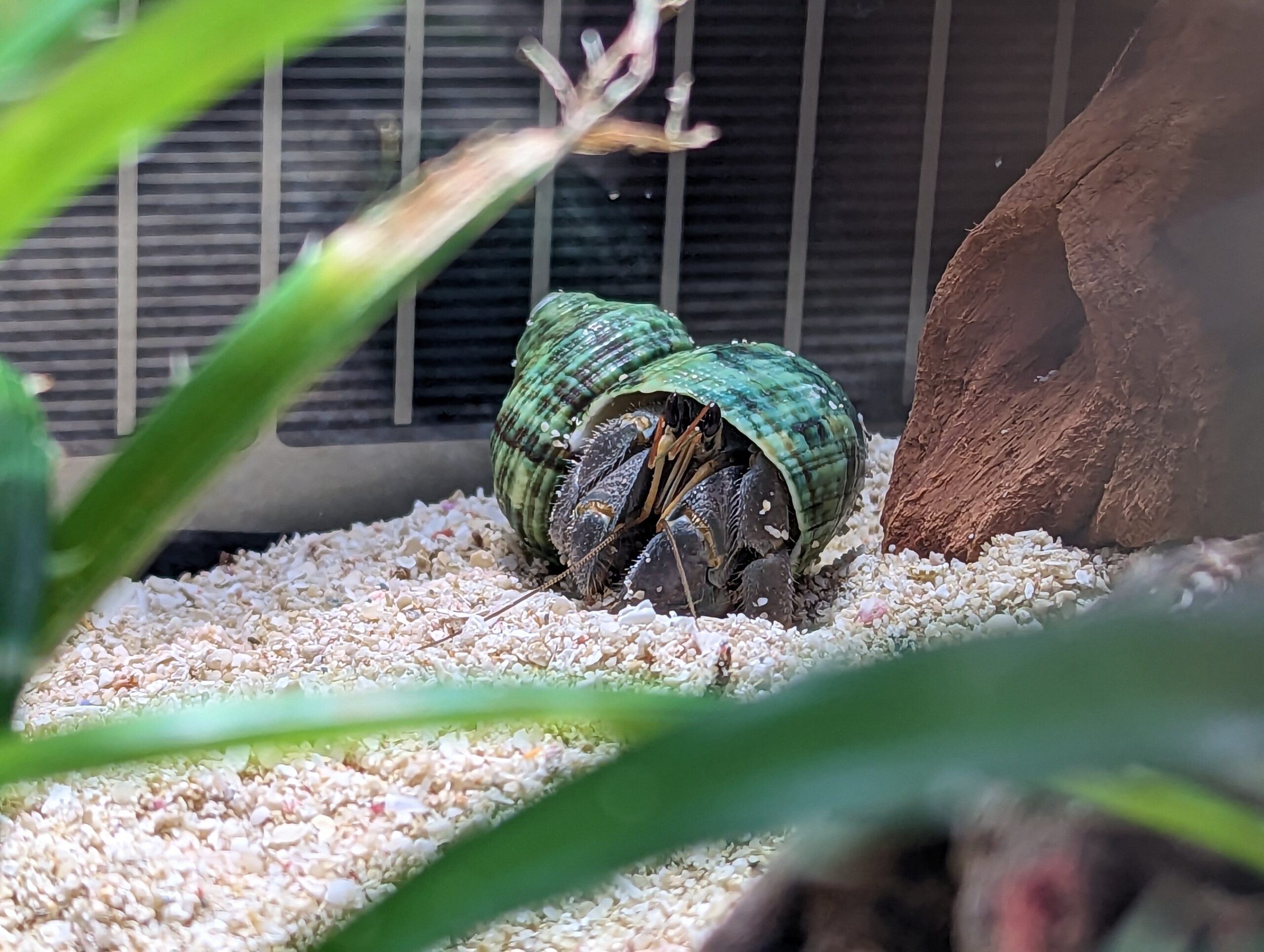 2023 01 01 15 10 37 Pixel 6