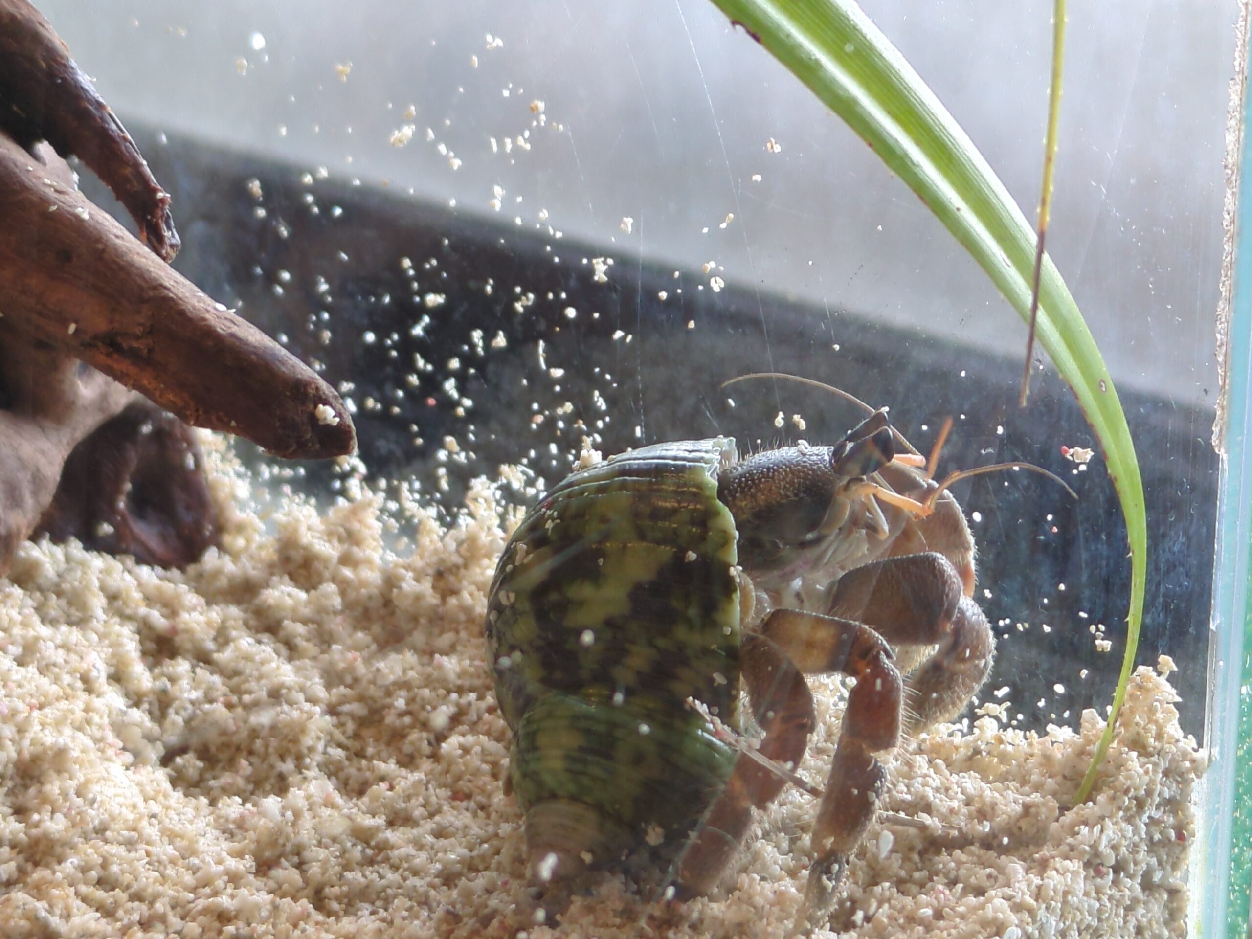 IMG 20250510 154028 481