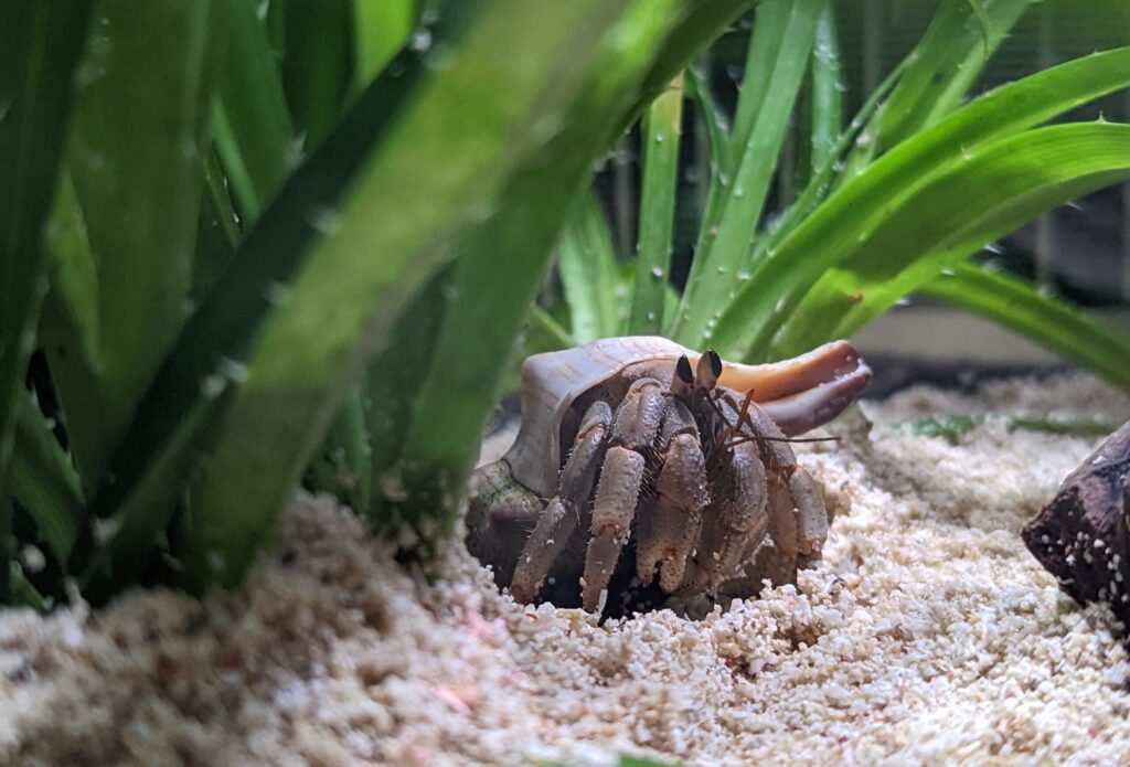 2022 11 13 10 37 53 Pixel 6 100