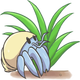 plants