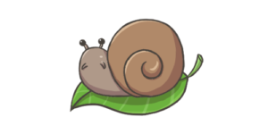 snail500