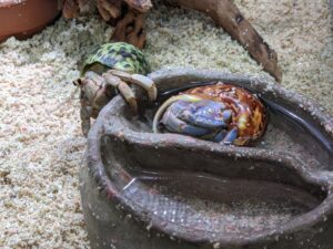 2021 11 02 17 08 24 Pixel 4 385