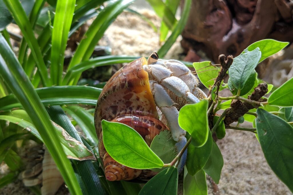 2020 09 23 07 48 02 Pixel 4 554