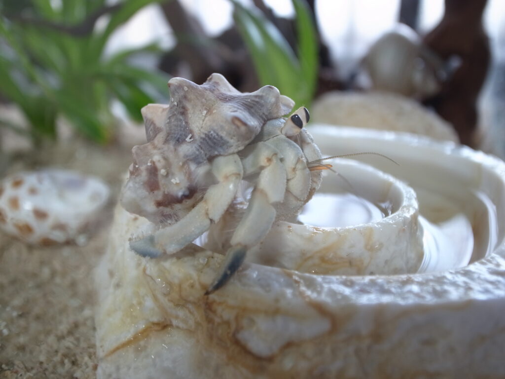 2019 05 03 17 34 58 GR DIGITAL 4