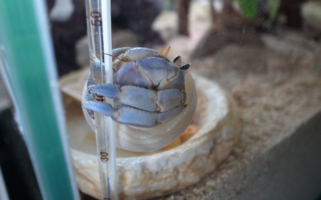 2019 05 06 13 54 09 GR DIGITAL 4