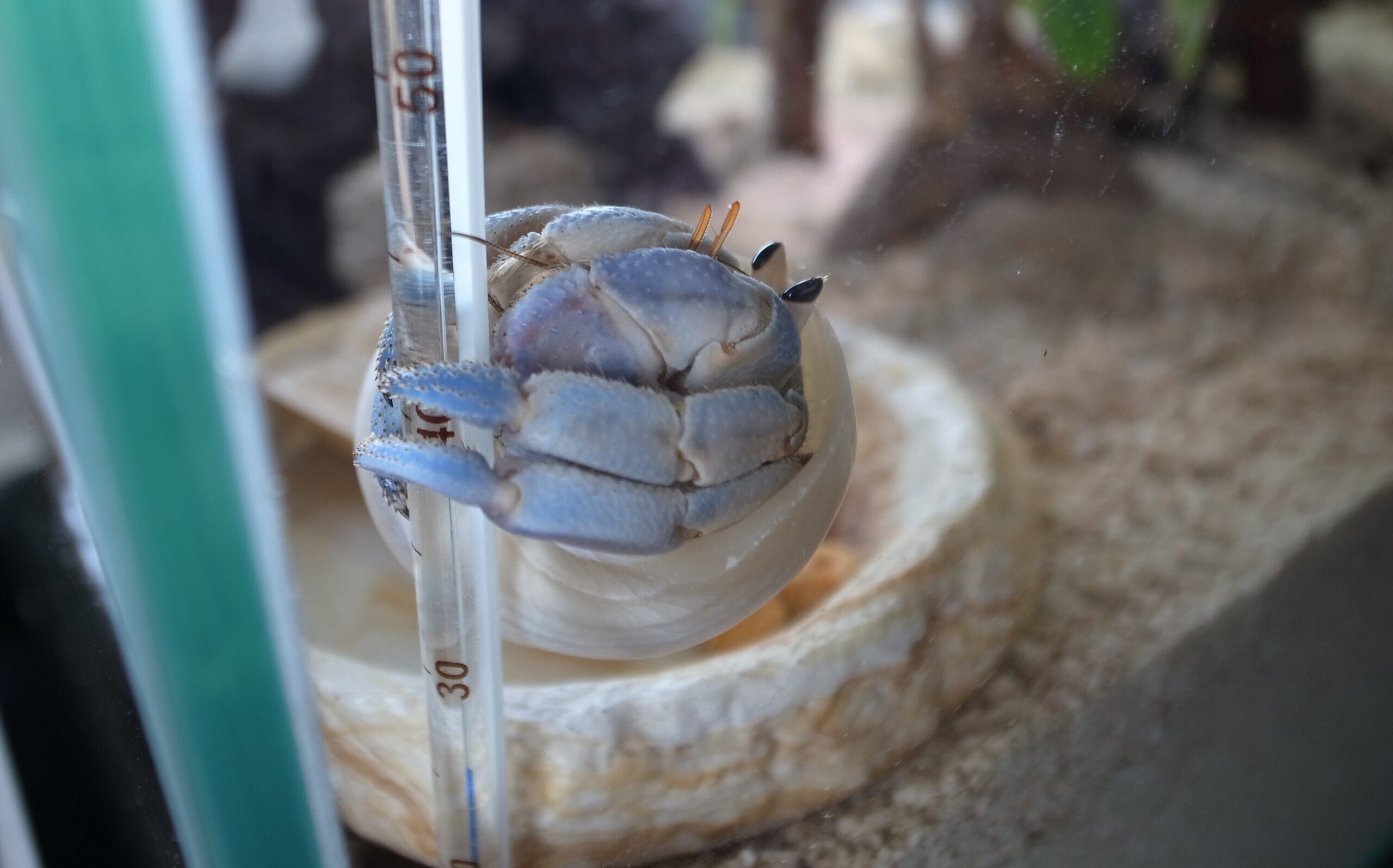 2019 05 06 13 54 09 GR DIGITAL 4