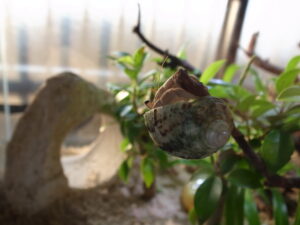 2019 05 16 05 31 47 GR DIGITAL 4