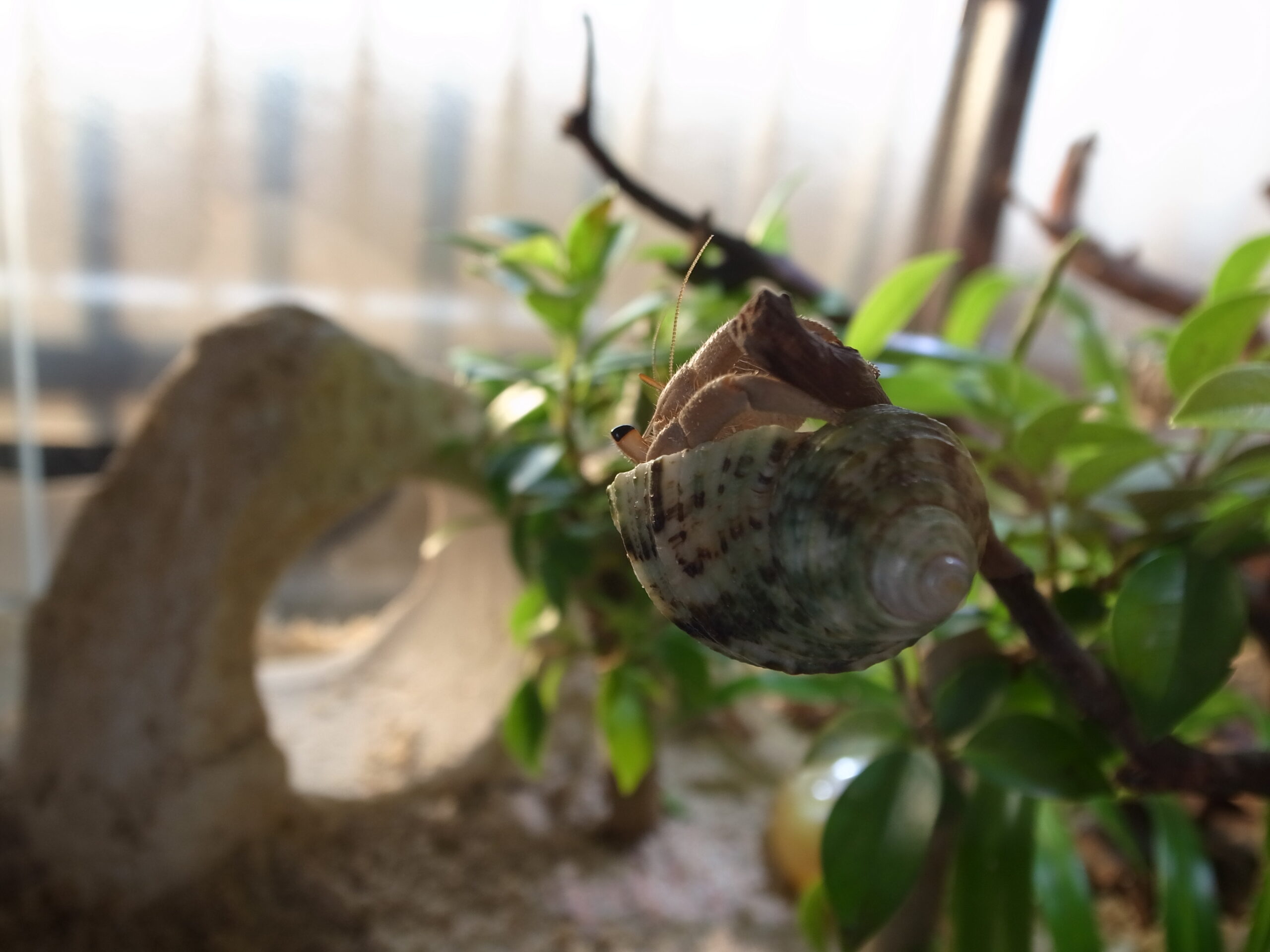 2019 05 16 05 31 47 GR DIGITAL 4