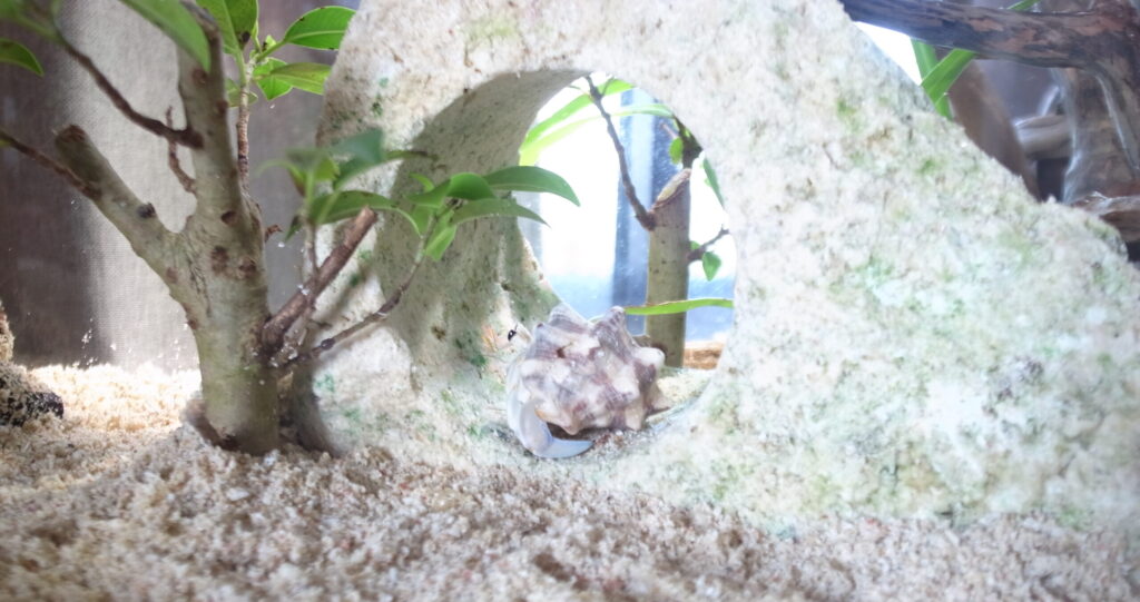 2019 08 21 13 16 35 GR DIGITAL 4 1007