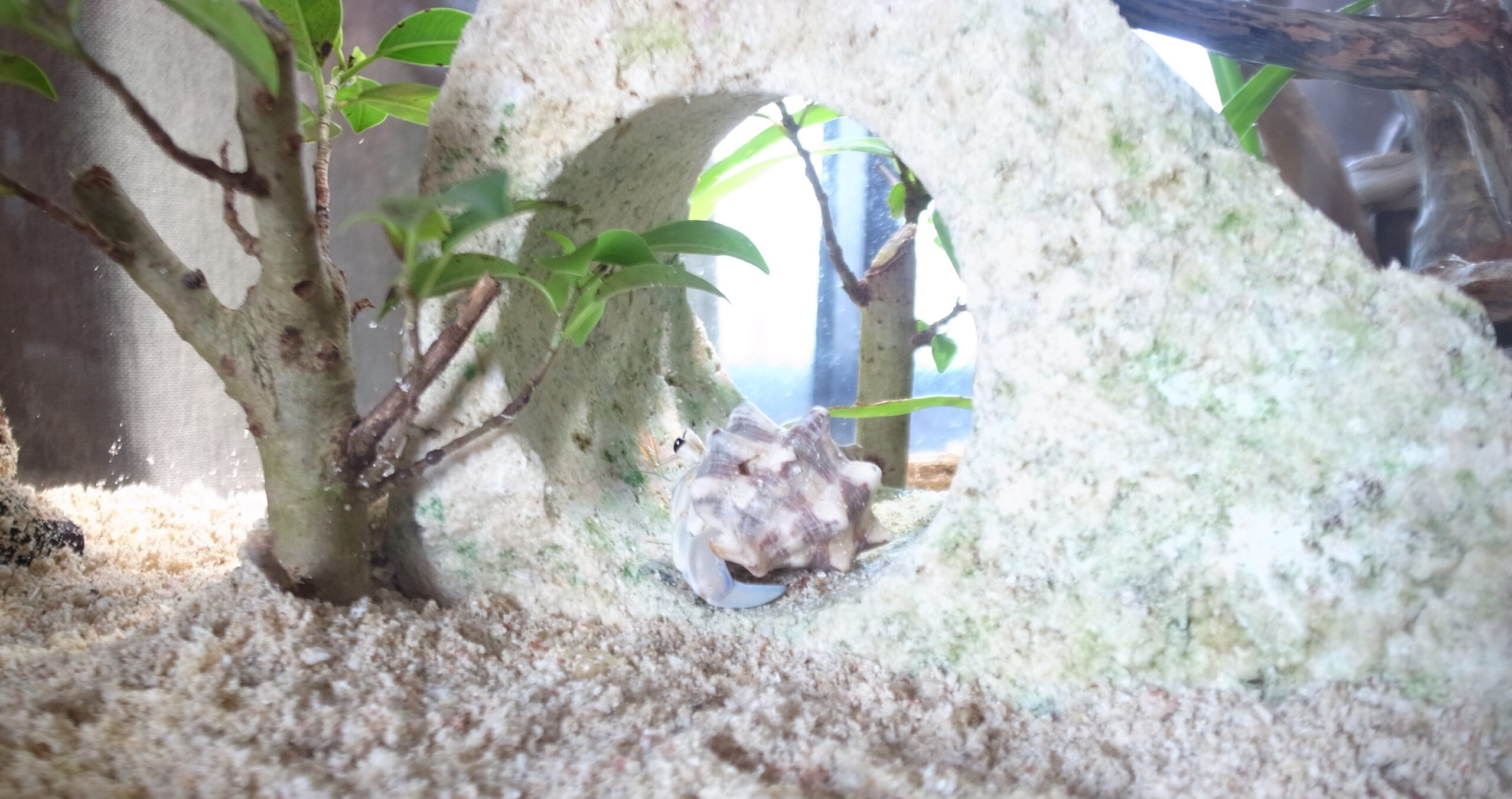 2019 08 21 13 16 35 GR DIGITAL 4 1007