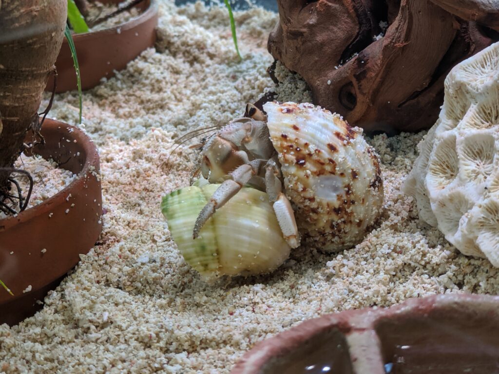 IMG 20200517 164029 1