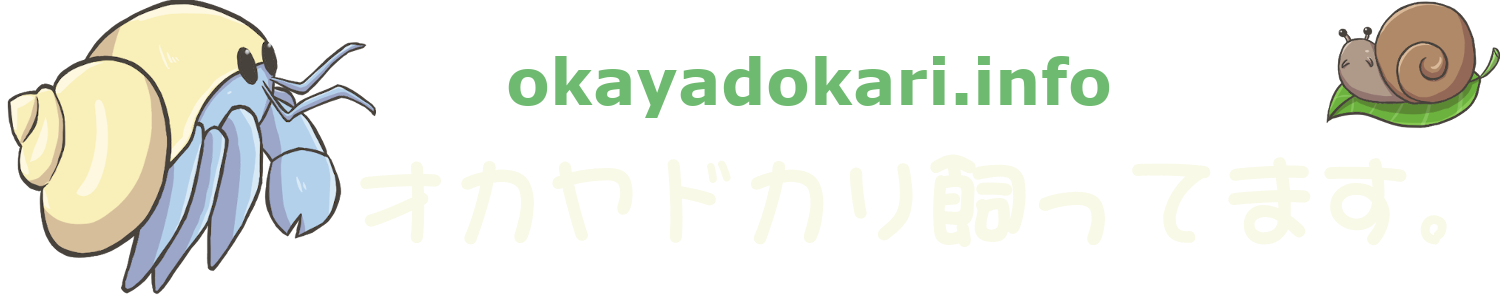 オカヤドカリ飼ってます。