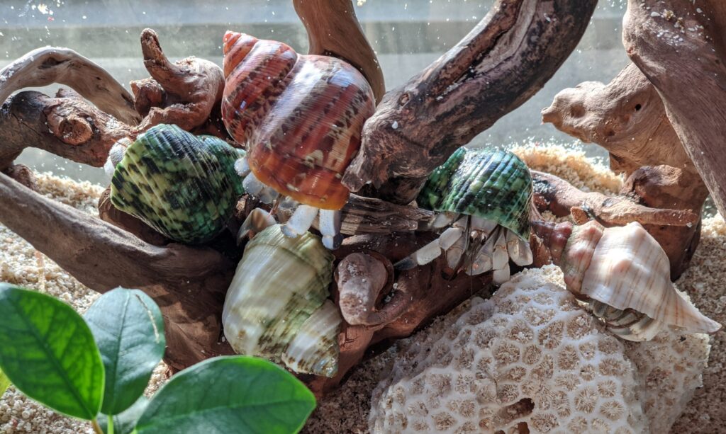 2020 05 09 05 49 15 Pixel 4