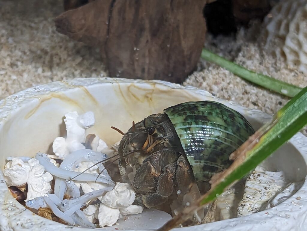 2023 03 27 19 14 06 Pixel 6