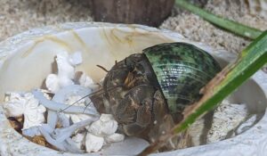 2023 03 27 19 14 06 Pixel 6