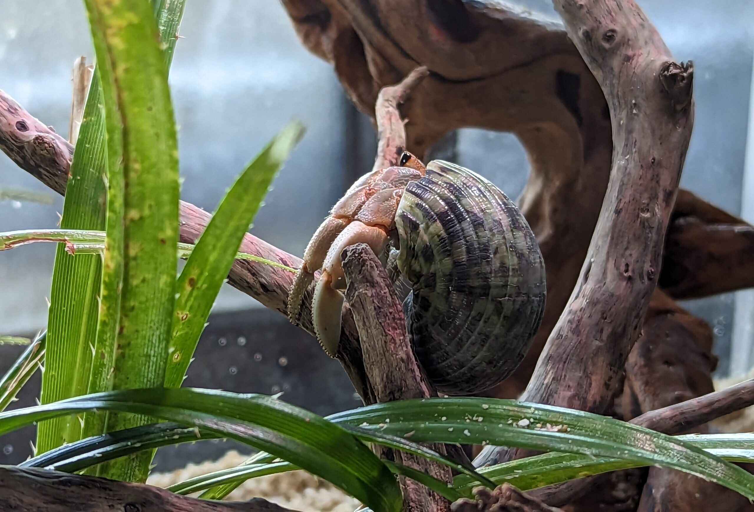 2023 05 02 15 29 19 Pixel 6